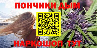 сатива Камышлов