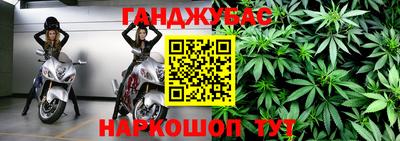 сатива Камышлов