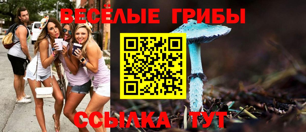 Галлюциногенные грибы прущие грибы  Вход с VPN  где купить наркоту  Котельники 